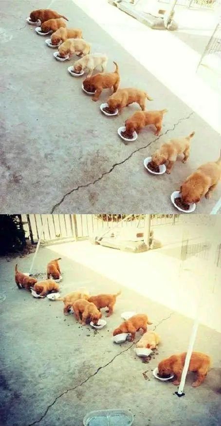 你的设计vs用户的操作