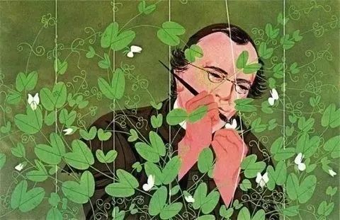 孟德尔通过豌豆杂交实验发现了遗传规律